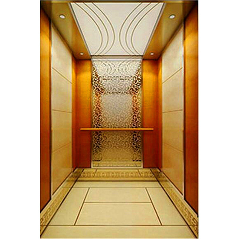 apashilongdianti Luxury villa elevatorAPSL-B07 Silent elevator Residential elevator