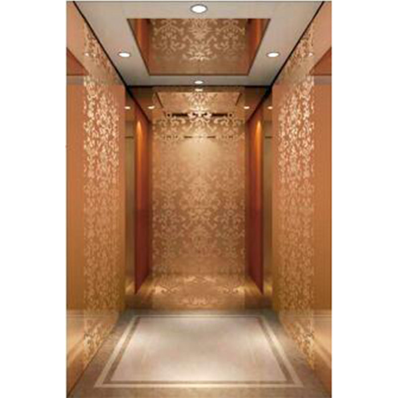apashilongdianti Classic passenger elevator APSL-B03 Small villa elevator hydraulic elevator
