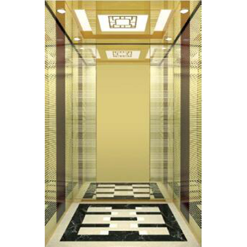 apashilongdianti Luxury passenger elevatorAPSL-K001 Small villa elevator Residential elevator