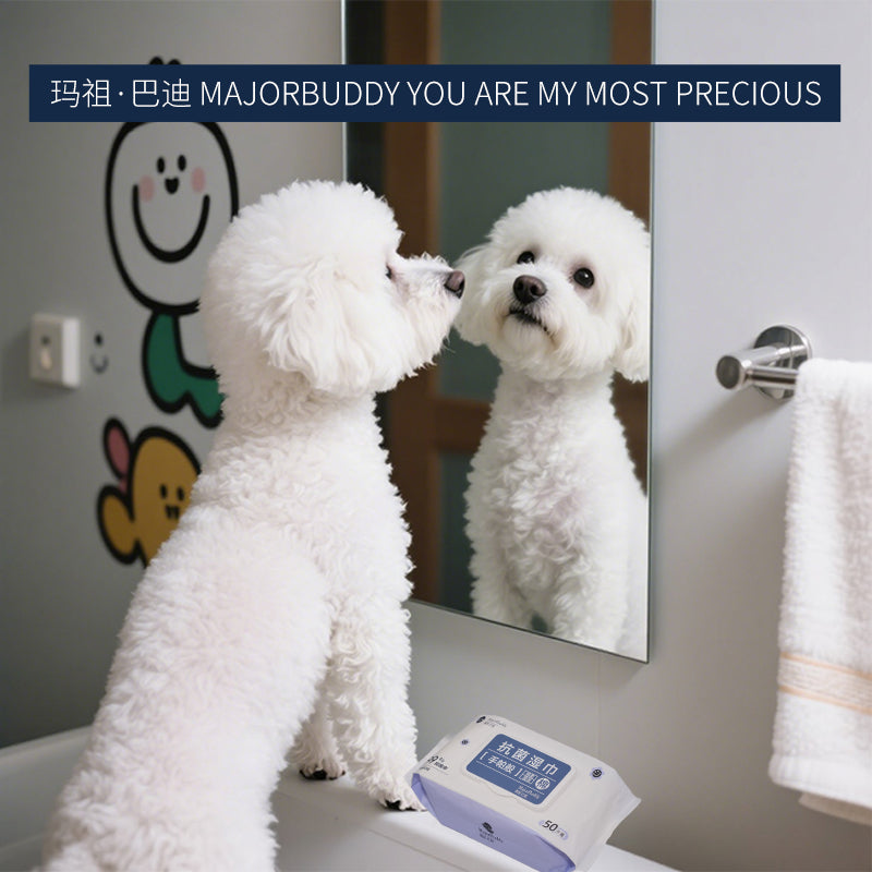 huidefeng Antibacterial Wipes Powerful Antimicrobial Portable and Easy to Use Pet Antibacterial Wash