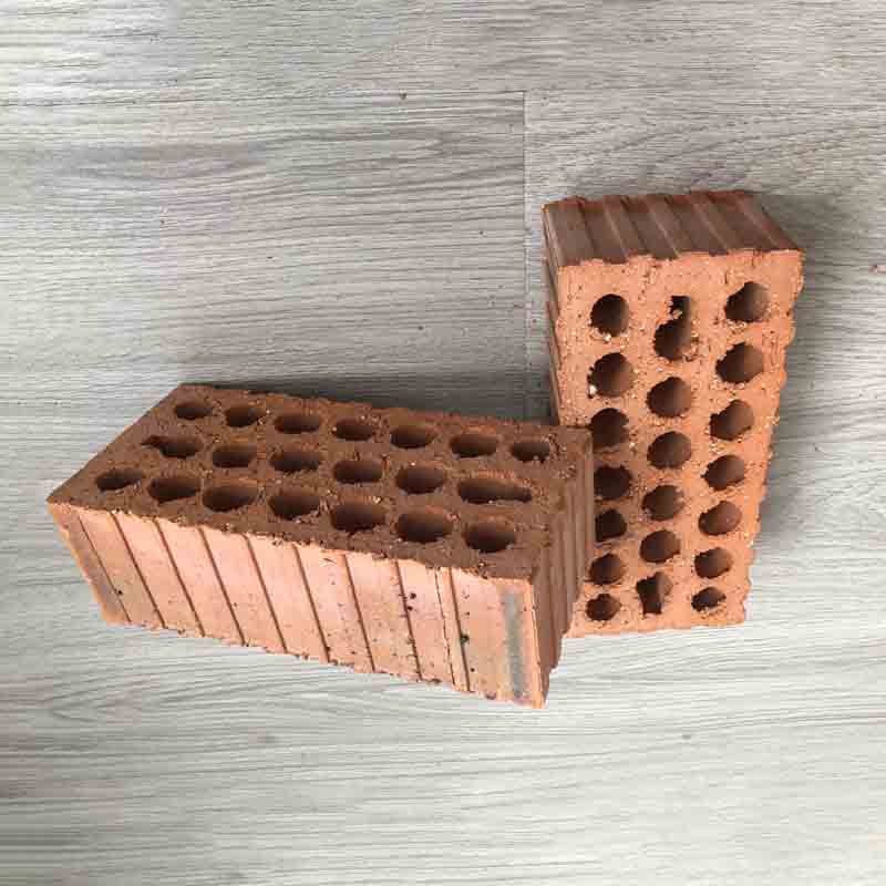 Tedon Coal gangue sintered porous brick Perforated wall bricks Build wall bricks